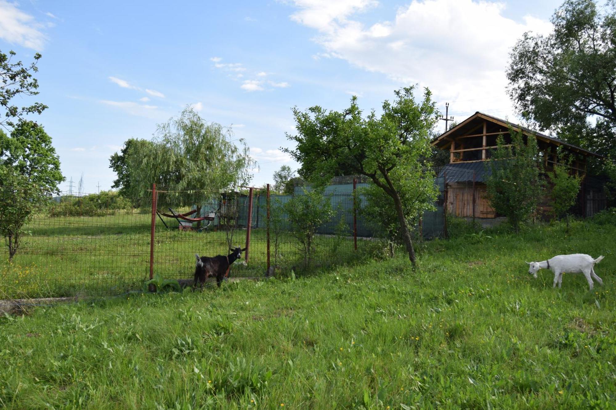 Apartmán La Radacini Horezu Exteriér fotografie